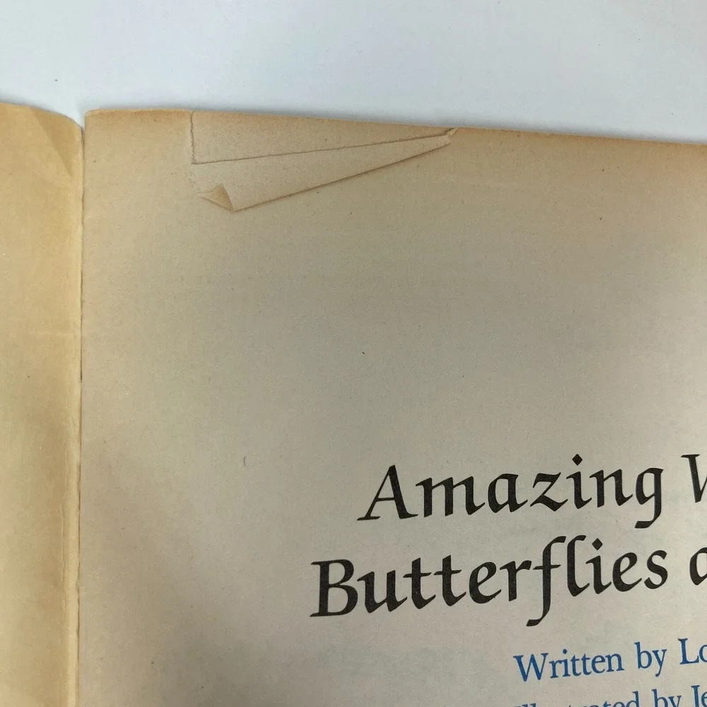Lot Of 6 Insect‎ Paperback Single Copies Children Homeschool Tutoring Classroom
